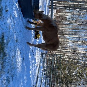 Meet your Posher, Tina